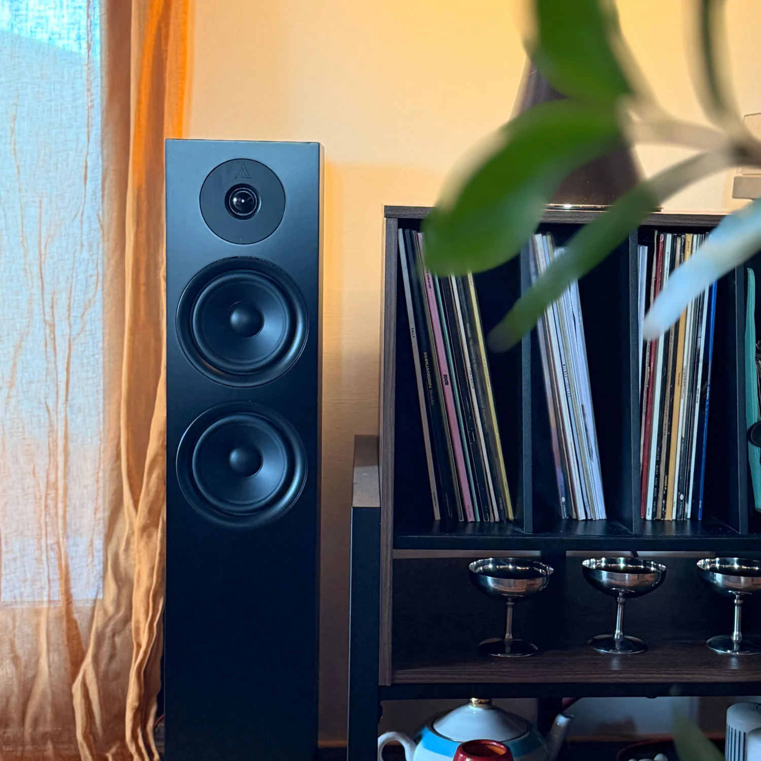 FORUS 55 - Image 11